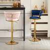 Barstool; Leather Height Adjustable Barstool in Tabaka thumb 2