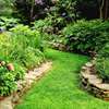 Landscaping & Gardening Services Kitisuru thumb 11