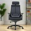 Ergonomic Executive Office Chair thumb 1