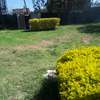 Lovely 5 BR House plus Dsq in Karen thumb 6