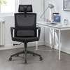 Office chair: Ergonomic Massage Mesh Office Chair thumb 0