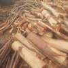 Dry Firewood thumb 1