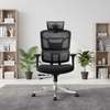 High-Back Ergonomic Mesh Office seat thumb 0