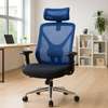 Office Chairs : Ergonomic Executive Office Chair thumb 2