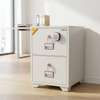 2-Drawer Diplomat Fireproof Cabinet thumb 2