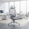 Office Chair: Ergonomic Modern Office Chair In Awendo thumb 9