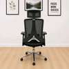 Highback Ergonomic office chair thumb 0