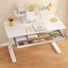 Adjustable Desk 1.2m Office Desk thumb 1