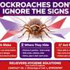 Cockroaches Spraying Services thumb 2