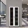 Modern 2-Door Steel Office File Cabinet thumb 0