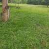 LAND FOR SALE ON THE CREEK. thumb 4