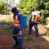 Pest Control and Fumigation Services at Dohnholm thumb 1