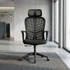 Ergonomic High Back Office Chair thumb 2