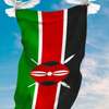 Kenya flag. thumb 2