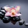 🌿 Mobile Massage Services – Naivasha 💆‍♂️💆‍♀️ thumb 0