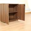 Office Cabinet :2-Door Office Storage Wooden Cabinet thumb 2