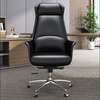 Office Chairs;Gray CEO High Back Office Chair in Ahero thumb 1