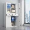 2 Door Steel Office Cabinet with 2 Drawers thumb 2