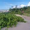 Malindi beachside plots — 50×100 ft. From KES 2M per plot thumb 7