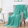 Soft throw blanket thumb 0