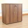 Office Cabinet :2-Door Office Storage Wooden Cabinet thumb 0
