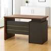 1.2Meters Solid Wood Executive Office Desk thumb 4