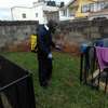 Pest Control and Fumigation Services Garden Estate thumb 4