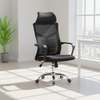 Executive Chairs : High-back Executive Office Chair thumb 1