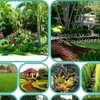 Landscaping design installation thumb 0