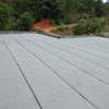 APP Membrane for rooftop for commercial buildings thumb 2