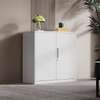 Office Cabinet; 2-Door Metal Filing Cabinet thumb 7