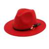 Wide brim Fedora hats thumb 1