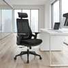 Executive Chairs : Larma Orthopedic Office Chair thumb 4