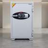 530EK Diplomat Digital Combination 53kg Cabinet thumb 9