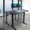 Office Desk; Posh Ergonomic Electric Standing Desk thumb 1