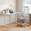 Office Desk : 1200mm Electric Height Adjustable Desk thumb 5