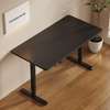 Standing Desk; 120cm Electric Office Standing Desk thumb 1