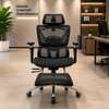 Orthopedic Mesh High Back Chair thumb 2
