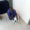 House Managers, Housekeepers, Chefs/Cooks, Estate Managers, Butlers, Chauffeurs/Drivers, Cleaners & Garden Services in Nairobi. thumb 11