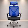 Office Chairs : Ergonomic Executive Office Chair thumb 4