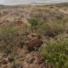 5ac land sale in Ndeiya Nguirubi for plot subdivision thumb 4