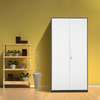 Office Cabinets:2-Door Metallic Filing Cabinet in Keroka thumb 6