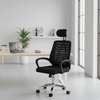 High-Back Ergonomic Mesh Office thumb 2