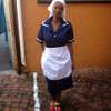 Nanny Agency & Nanny Services |  House Managers, Couples, Housekeepers, Chefs/Cooks, Estate Managers, Butlers, Chauffeurs/Drivers Nairobi. thumb 0