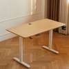 Height Adjustable Electric Office Desk thumb 7
