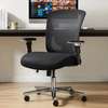 Strong Ergonomic Home Office Mesh Chair thumb 3