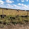 Expansive Rural Land 10 Acres Flat Fertile Soil thumb 2