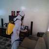 Pest Control and Fumigation Services Lucky Summer thumb 4