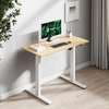 Height Adjustable electric standing desk thumb 11