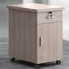 Wooden Movable Storage Cabinet thumb 2